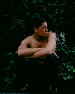 Tonda Bardehle
